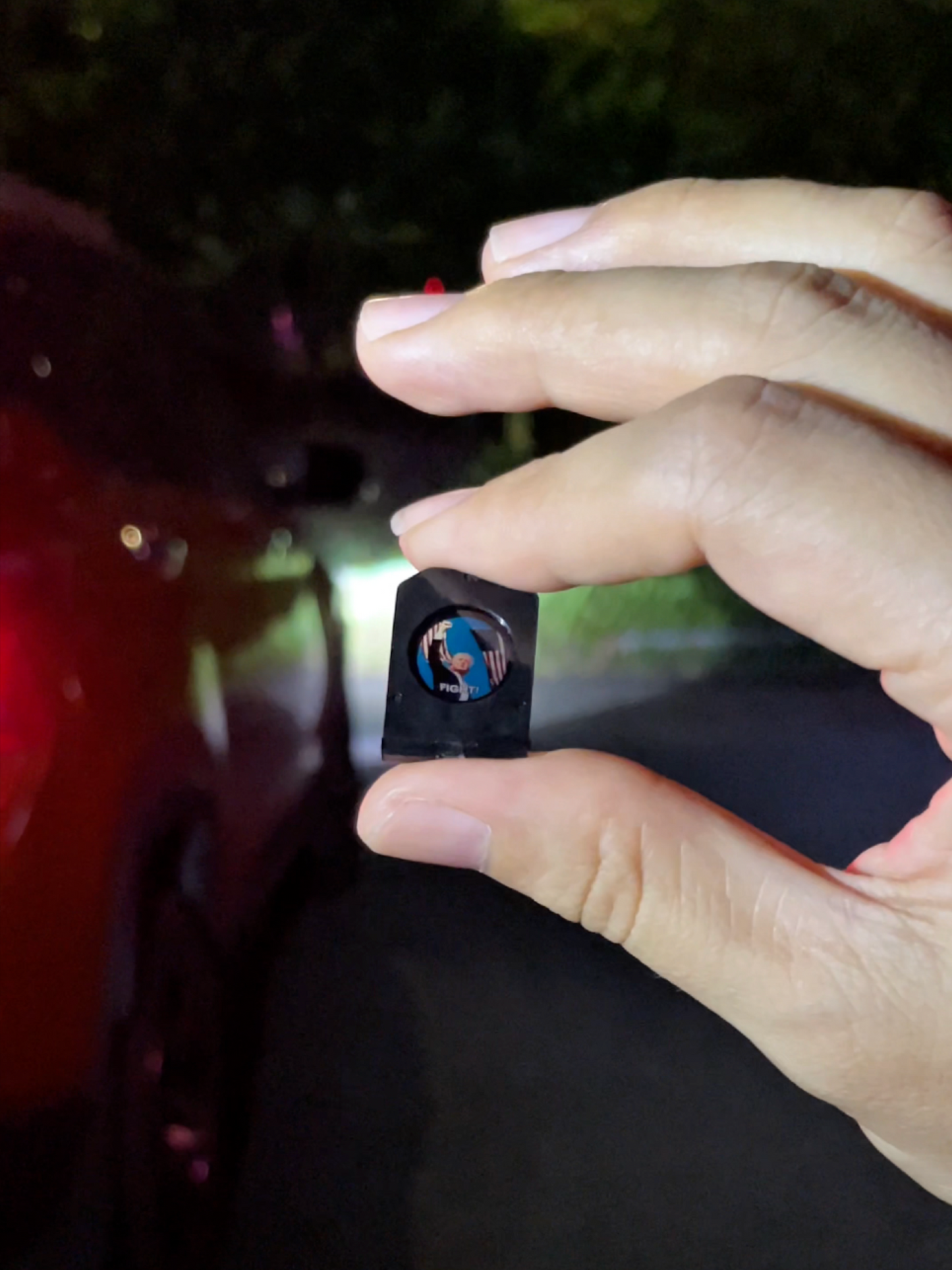 PrezLight™ Patriotic Door Light